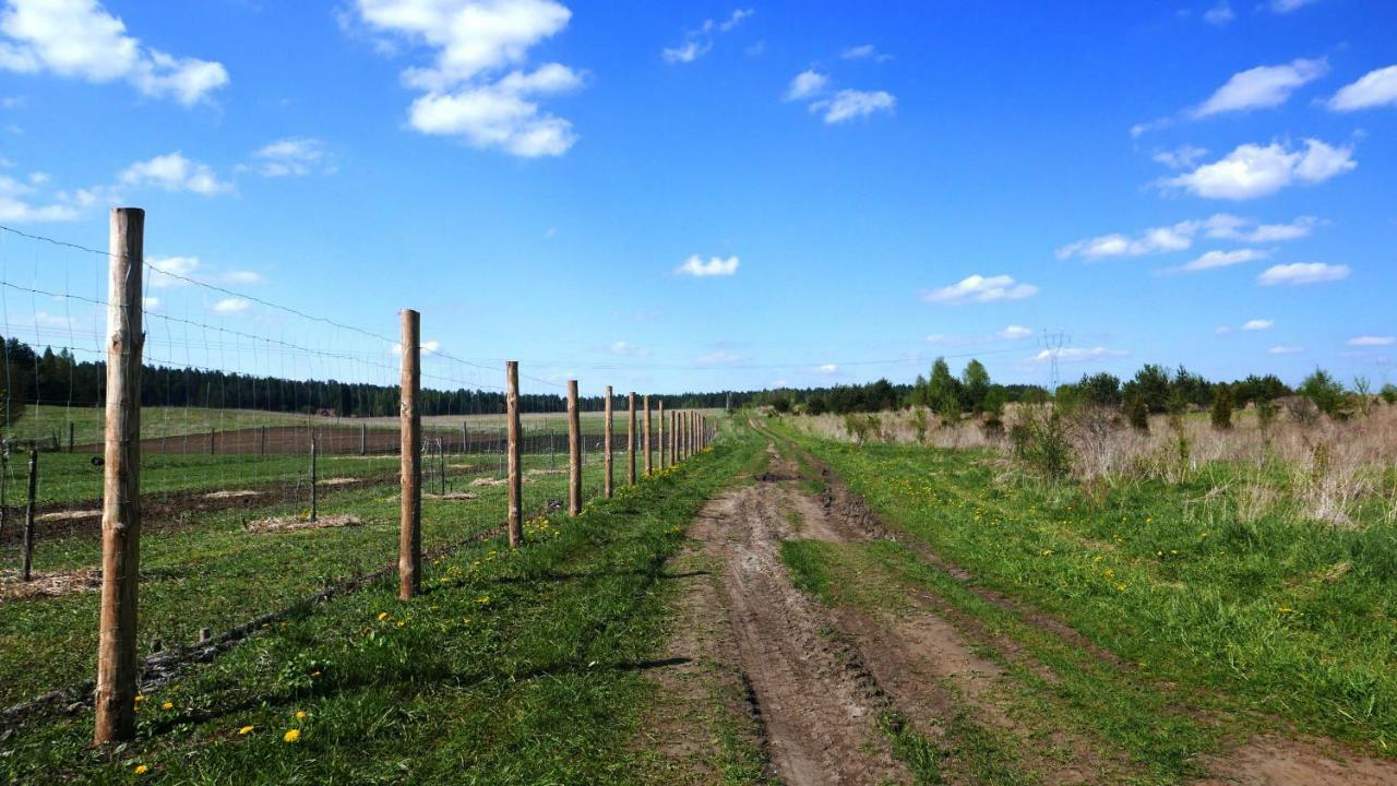 Wodamoja - Apartamenty Nad Jeziorem Stawiguda Extérieur photo